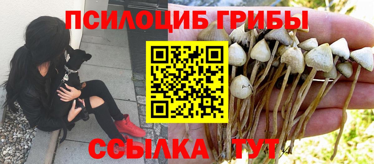 Галлюциногенные грибы GOLDEN TEACHER Камышин