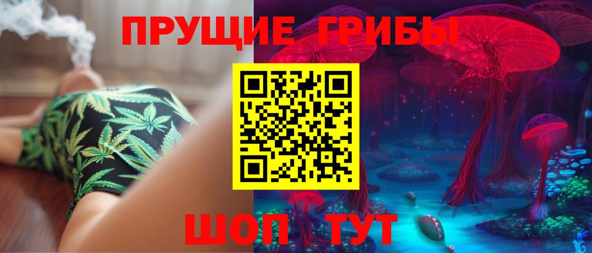наркота  Галлюциногенные грибы Psilocybe  Вход с VPN  Камышин  Псилоцибиновые грибы Cubensis 